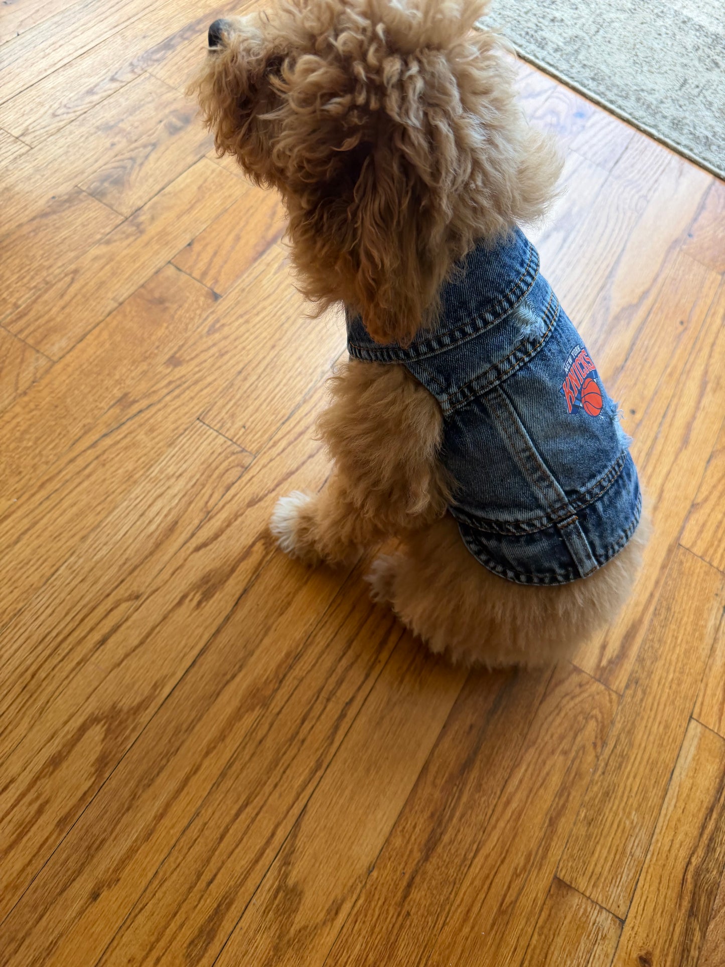 Furr Baby Knick Denim